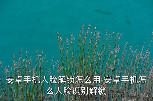 人臉解鎖，安卓手機人臉解鎖怎么用 安卓手機怎么人臉識別解鎖
