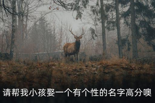 請幫我小孩娶一個有個性的名字高分噢