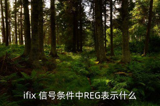 reg是什么意思，請問電路中REG表示什么意思急