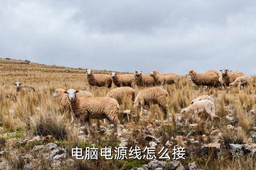 電腦電源線怎么接