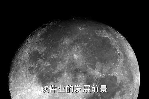 軟件業(yè)的發(fā)展前景
