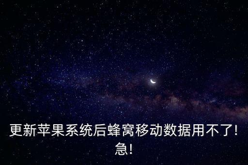 將蜂窩數(shù)據(jù)用于失靈,蘋果11蜂窩數(shù)據(jù)不可再用?