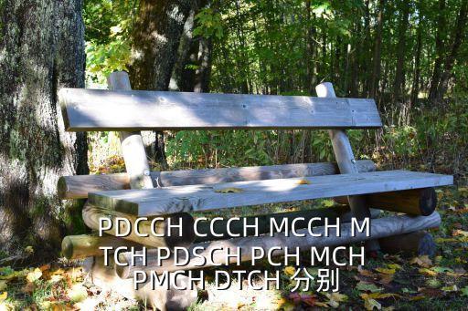 PDCCH CCCH MCCH MTCH PDSCH PCH MCH PMCH DTCH 分別