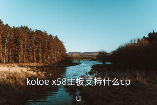 koloe x58主板支持什么cpu