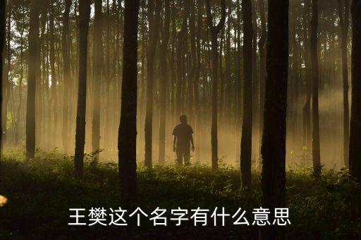 王樊這個名字有什么意思