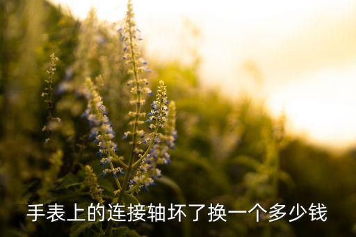 連接軸，表帶連接軸壞了怎么拆