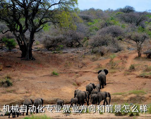 自動(dòng)化設(shè)備廠找工作,畢業(yè)去哪些單位找工作?
