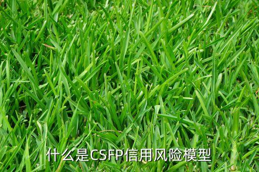 什么是CSFP信用風(fēng)險模型