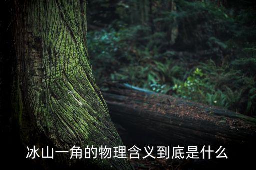 冰山一角圖片，為什么冰山只有一只角呢