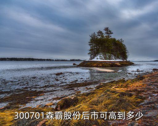 300701森霸股份后市可高到多少