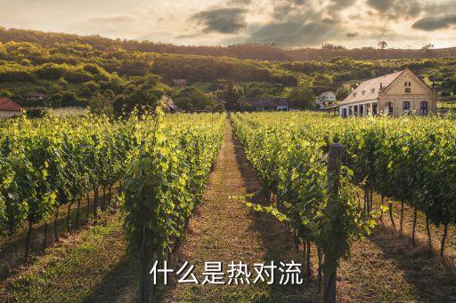 什么是熱對(duì)流
