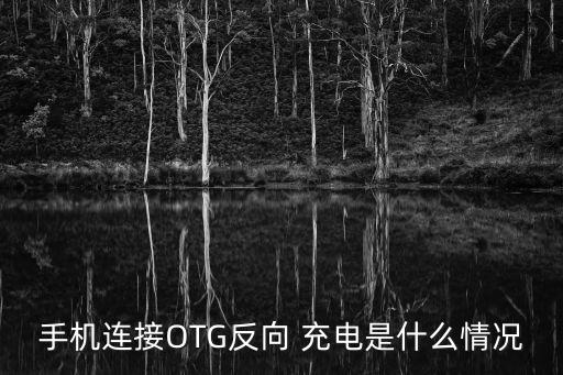 手機(jī)連接OTG反向 充電是什么情況