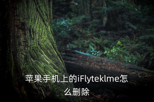 蘋果手機(jī)上的iFlyteklme怎么刪除