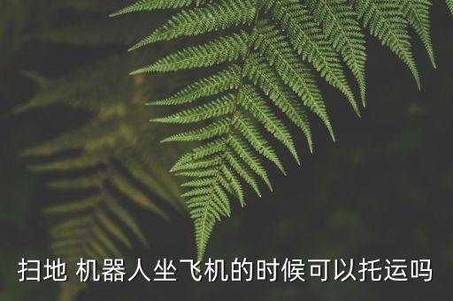 機場行李機器人