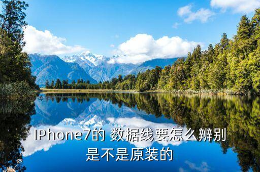 IPhone7的 數(shù)據(jù)線要怎么辨別是不是原裝的