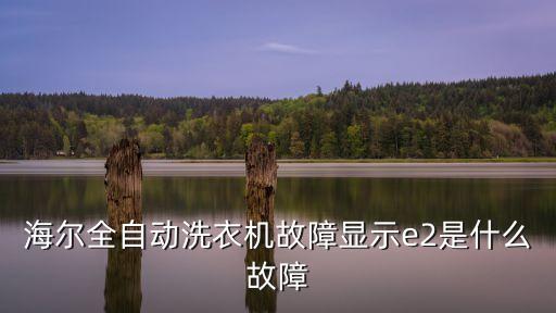 海爾洗衣機e2，海爾全自動洗衣機顯示代碼E2是什么故障
