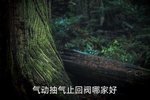 氣動(dòng)抽氣止回閥哪家好