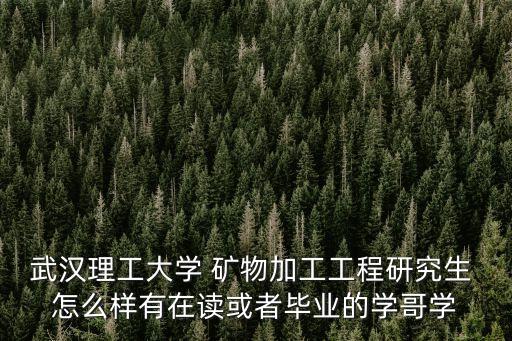張凌燕，武漢理工大學 礦物加工工程研究生 怎么樣有在讀或者畢業(yè)的學哥學