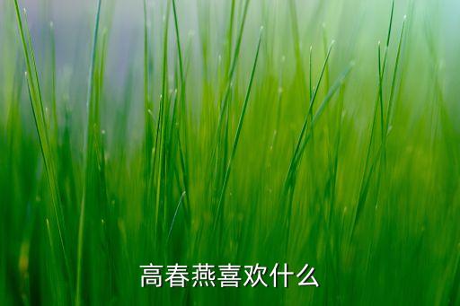 高春燕喜歡什么