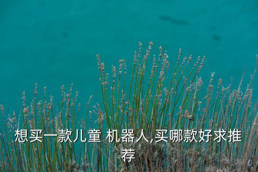 想買一款兒童 機(jī)器人,買哪款好求推薦