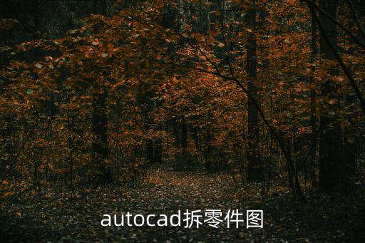 autocad拆零件圖