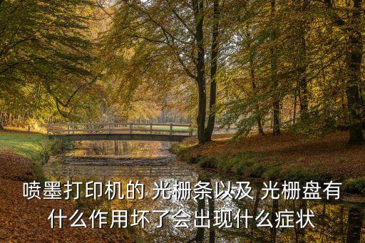 噴墨打印機的 光柵條以及 光柵盤有什么作用壞了會出現(xiàn)什么癥狀