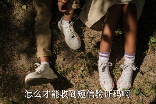 驗(yàn)證碼獲取,社保驗(yàn)證碼怎么獲取?