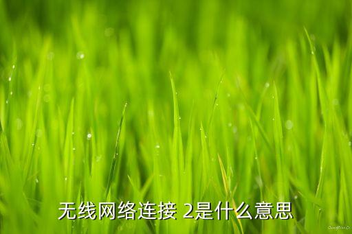 無線網(wǎng)絡(luò)連接 2是什么意思