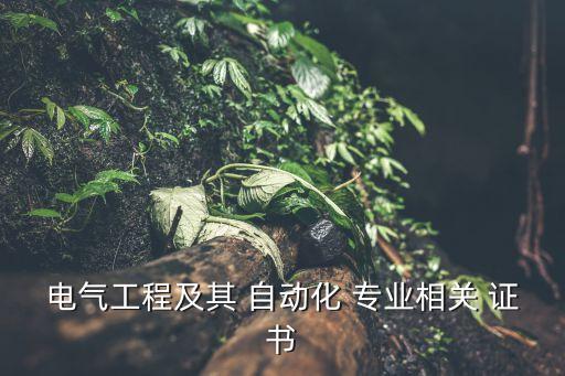 自動(dòng)化專業(yè)技能證書有哪些,專業(yè)技能資格證書有哪些種類