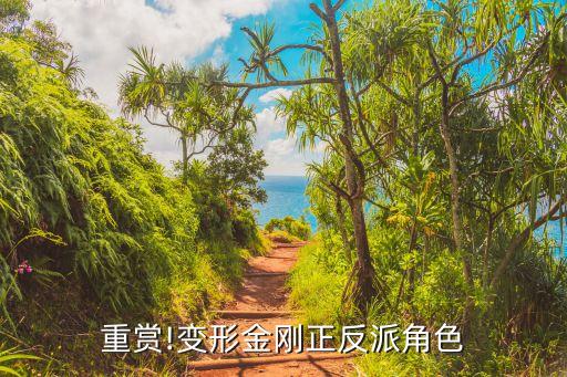 重賞!變形金剛正反派角色