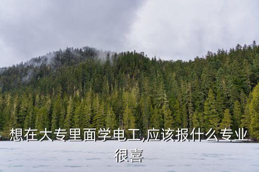 想在大專里面學(xué)電工,應(yīng)該報(bào)什么專業(yè)很喜