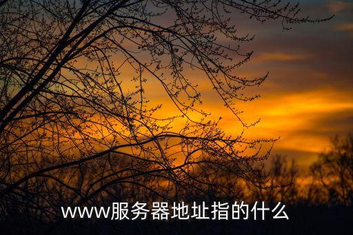 www服務(wù)器地址指的什么