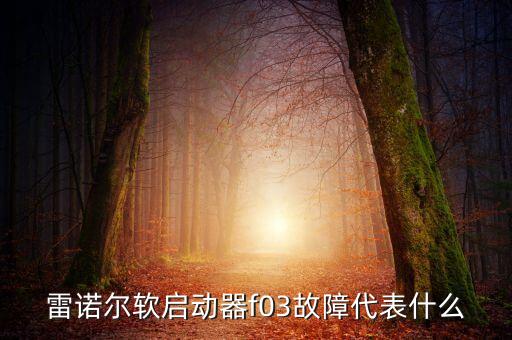 雷諾爾軟啟動器，上海雷諾爾JJR軟啟動器性能怎么樣