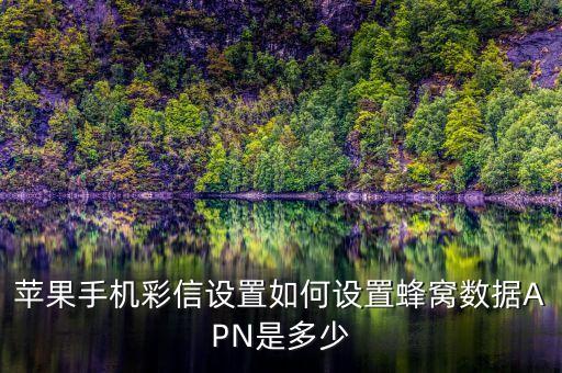 蘋果手機彩信設置如何設置蜂窩數(shù)據(jù)APN是多少