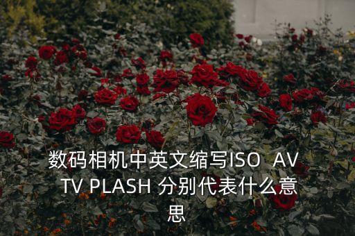 plash，PLASH是什么意思