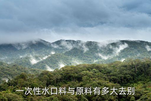 一次性水口料與原料有多大去別