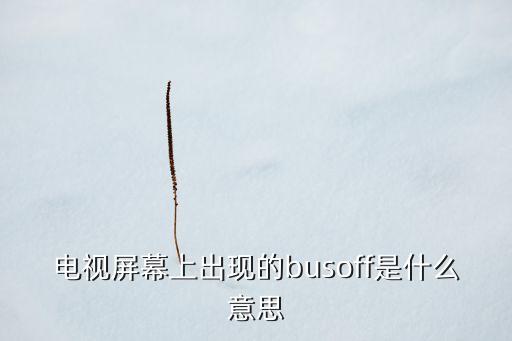 電視屏幕上出現(xiàn)的busoff是什么意思