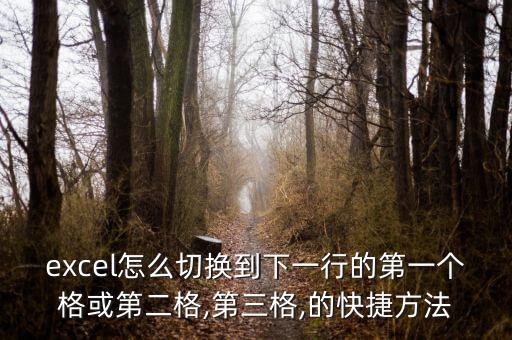 excel怎么切換到下一行的第一個(gè)格或第二格,第三格,的快捷方法