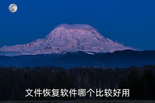 文件恢復(fù)軟件哪個(gè)比較好用