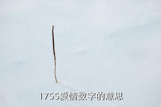 1755愛情數(shù)字的意思