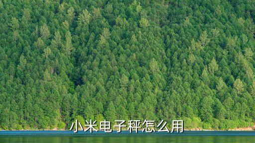 體重秤自動(dòng)化設(shè)備視頻教學(xué),怎么用手機(jī)秤查看體脂數(shù)據(jù)?
