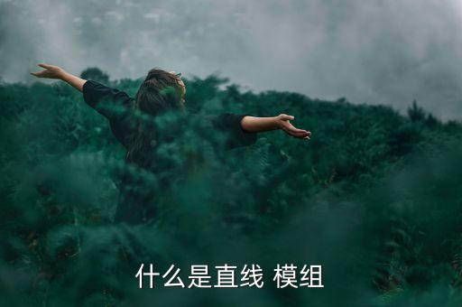 什么是直線 模組
