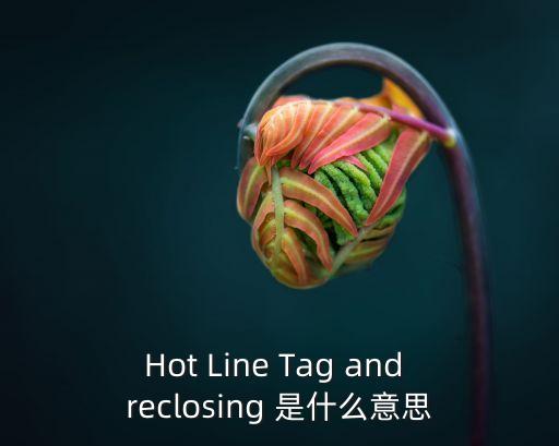 Hot Line Tag and reclosing 是什么意思