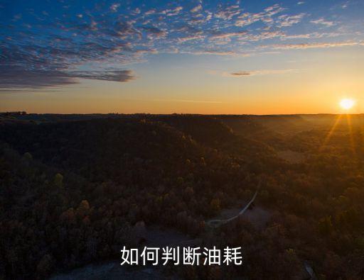 如何判斷油耗