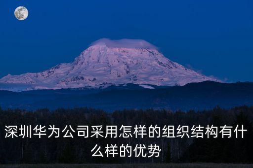 深圳華為公司采用怎樣的組織結(jié)構(gòu)有什么樣的優(yōu)勢(shì)