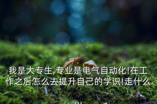 我是大專(zhuān)生,專(zhuān)業(yè)是電氣自動(dòng)化!在工作之后怎么去提升自己的學(xué)識(shí)!走什么...