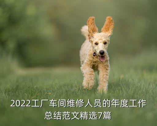 2022工廠車間維修人員的年度工作總結(jié)范文精選7篇