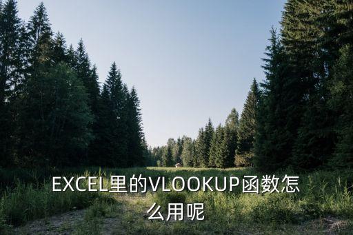 vlookup函數(shù)的使用方法及實(shí)例，EXCEL中VLOOKUP函數(shù)的運(yùn)用并舉例