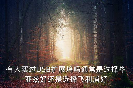 有人買過USB擴展塢嗎通常是選擇畢亞茲好還是選擇飛利浦好