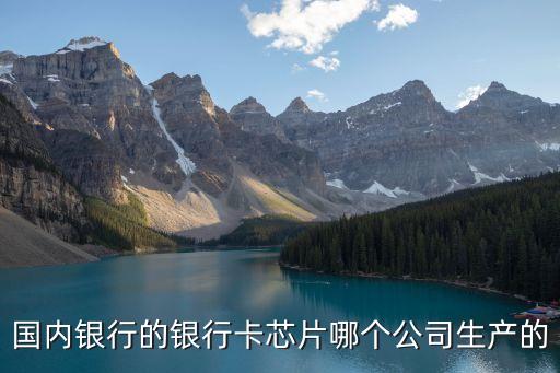 同方國芯，大哥這和紫光國芯有什么關系